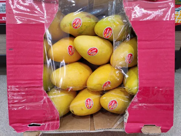 mrazteca-mango