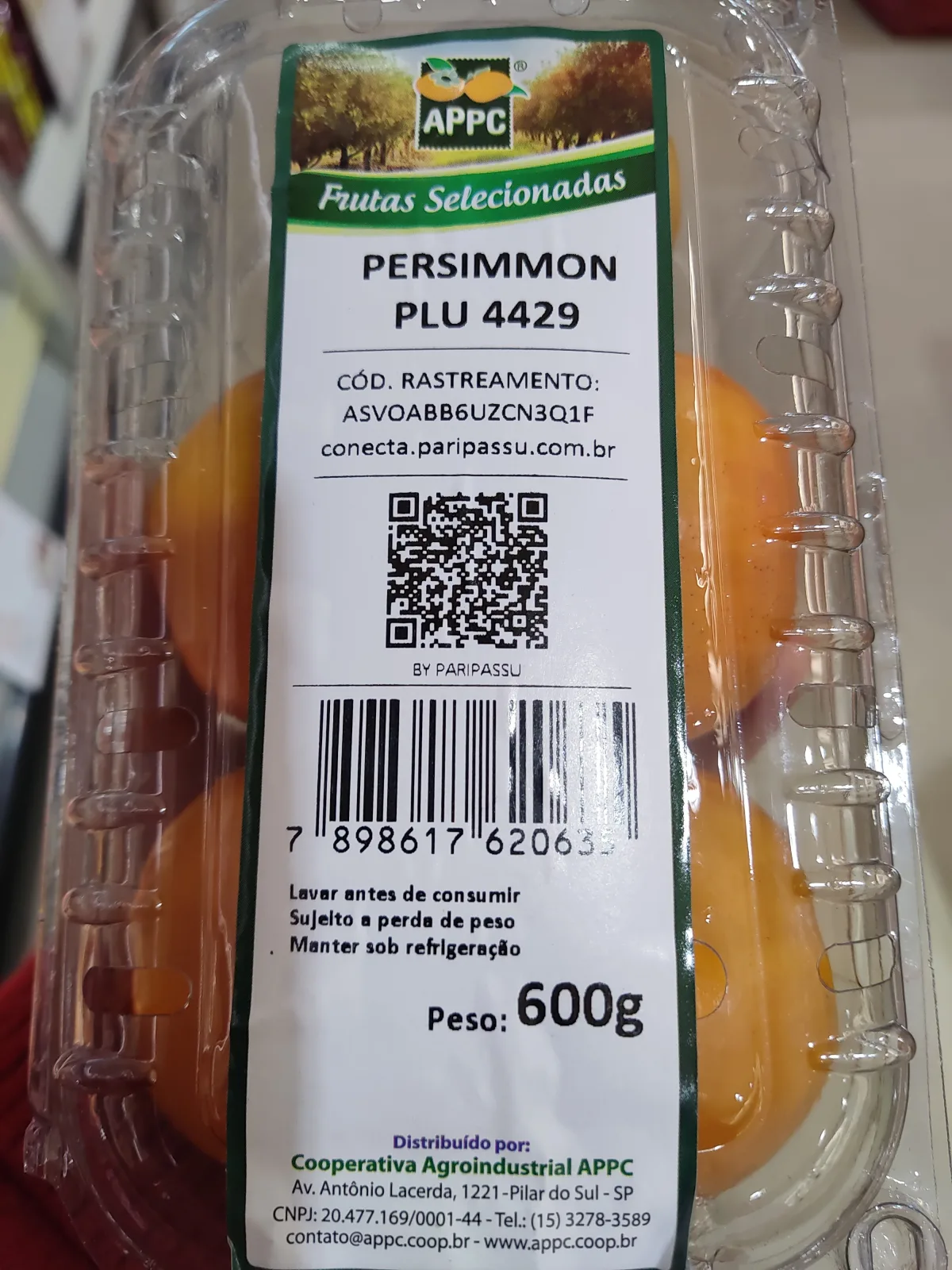 appc-persimmon