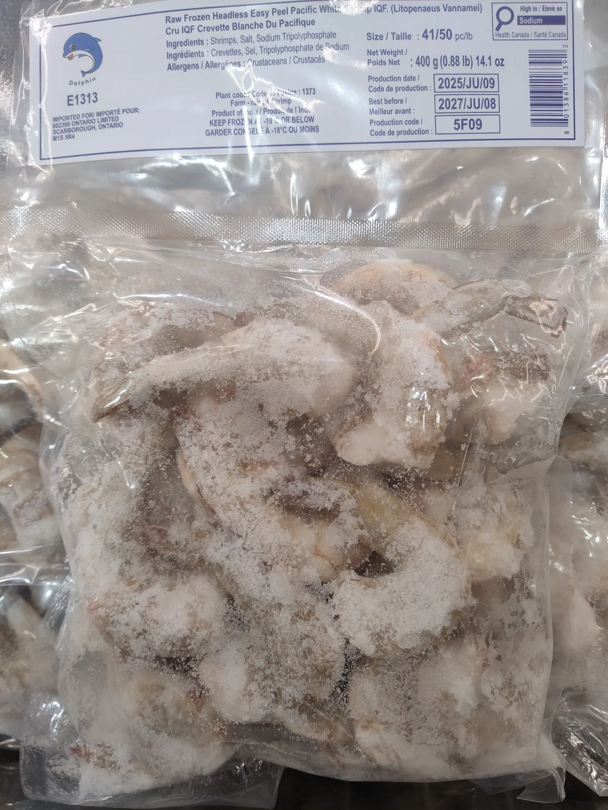 headless-white-shrimp-31-40