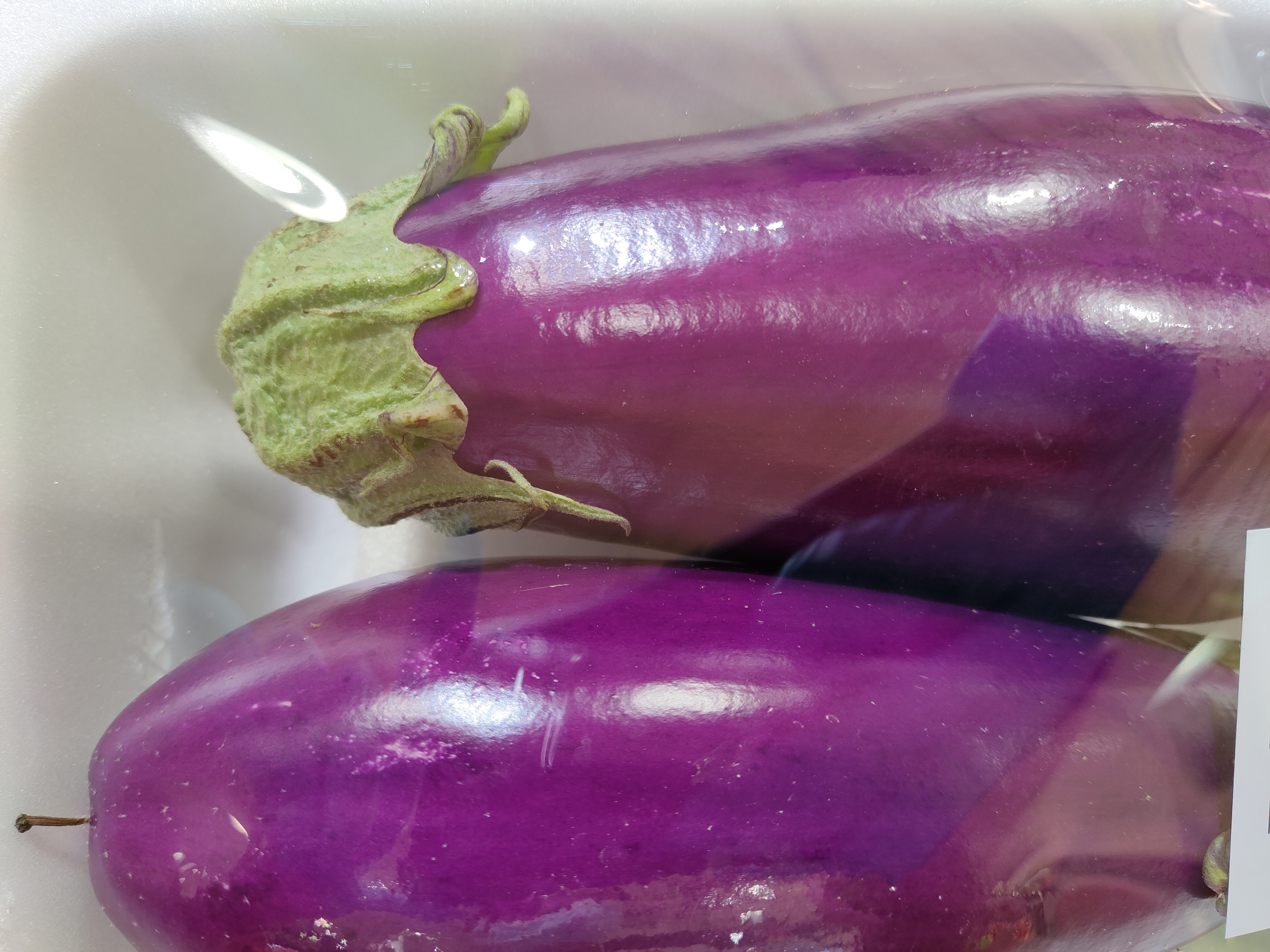 purple-eggplant