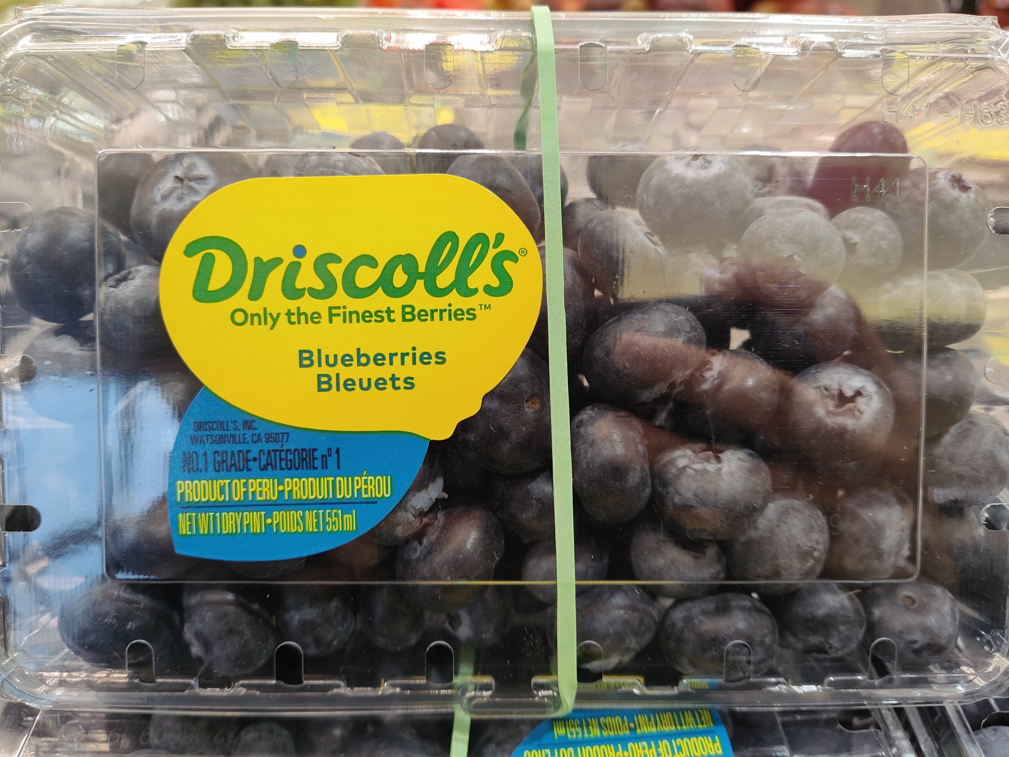 driscolls-blueberryperu