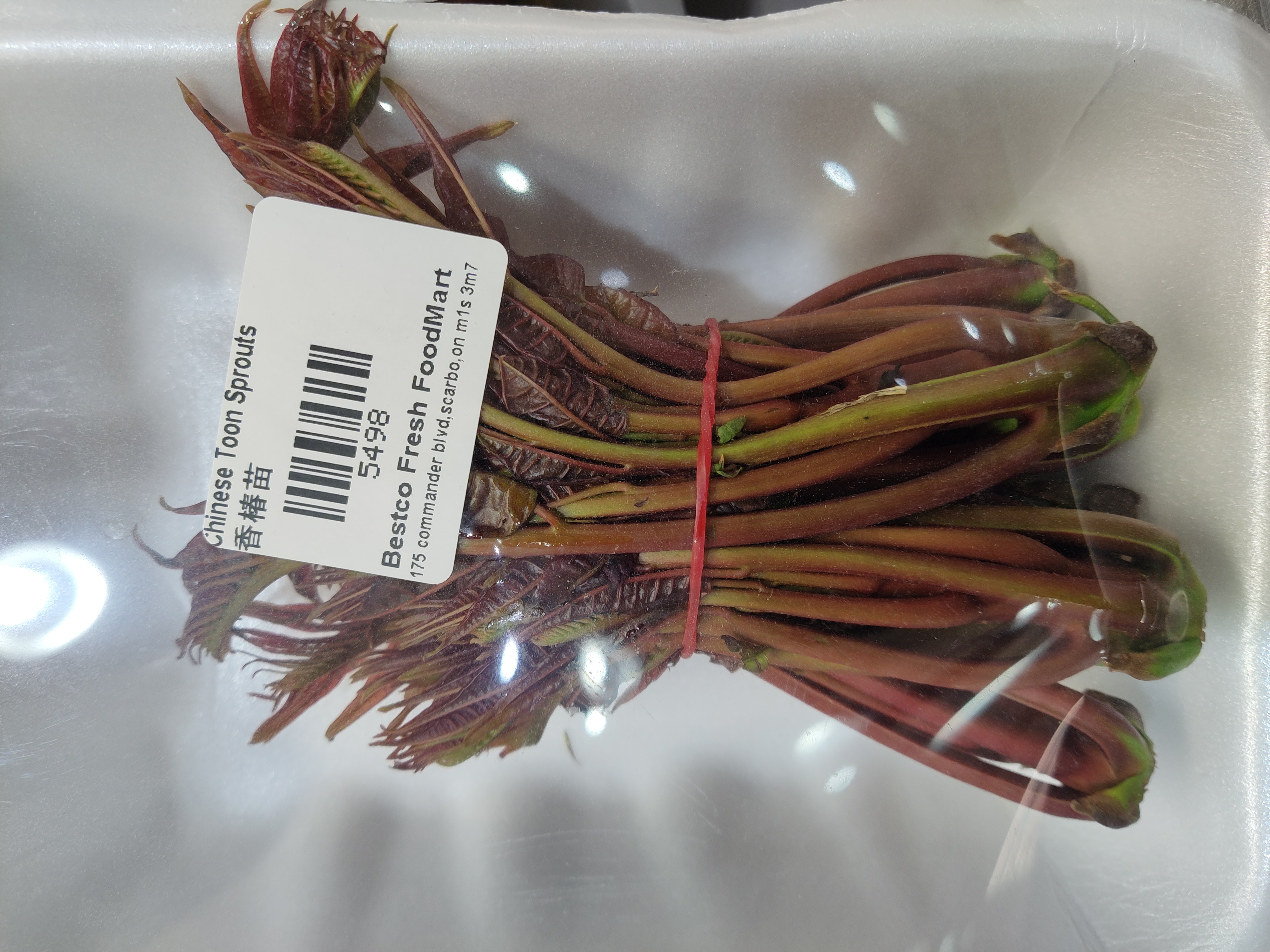 chinese-mahogany