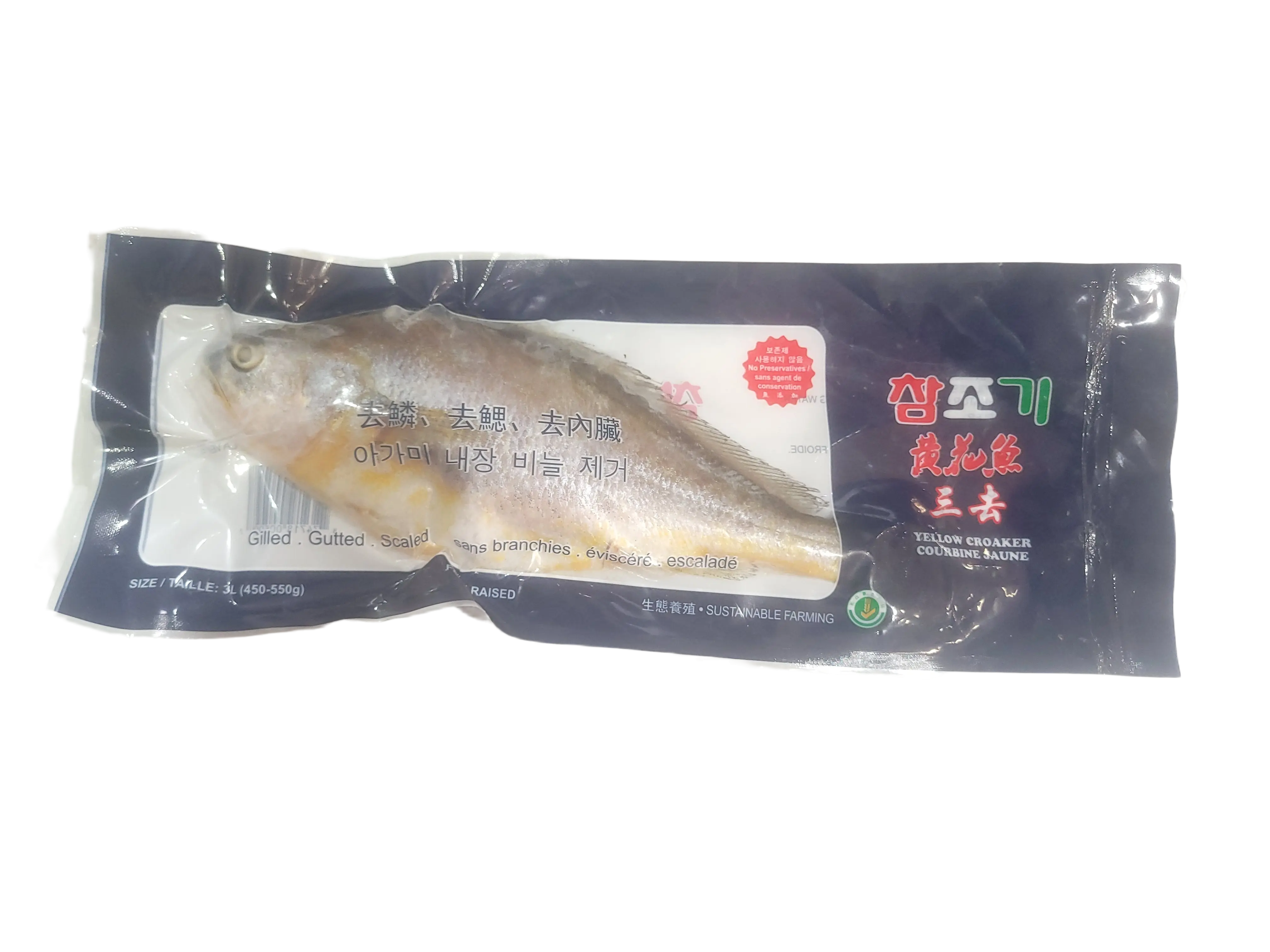 yellow-croaker