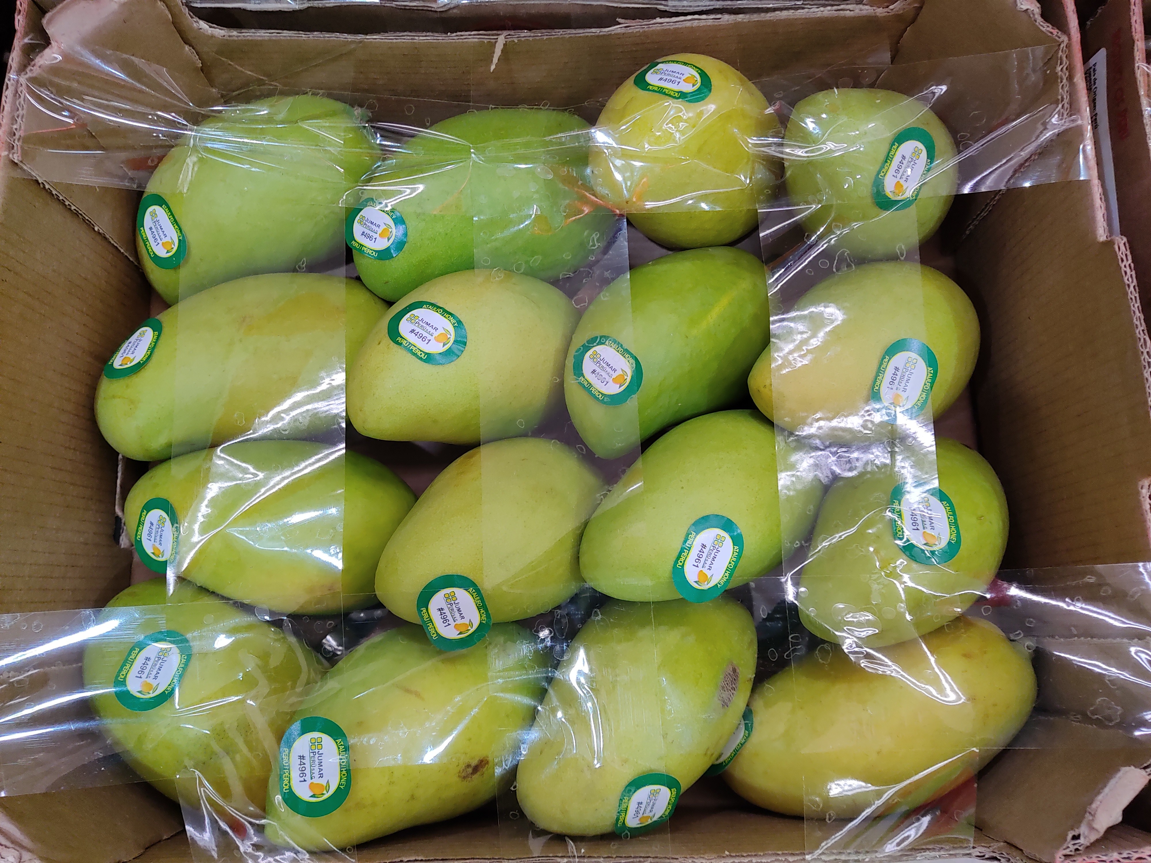 fresh-mango-box