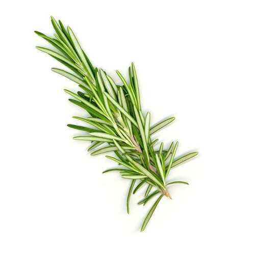 1-box-of-fresh-rosemary